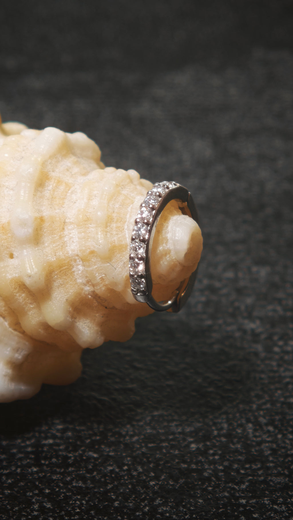 Baikus´ Special Earring
