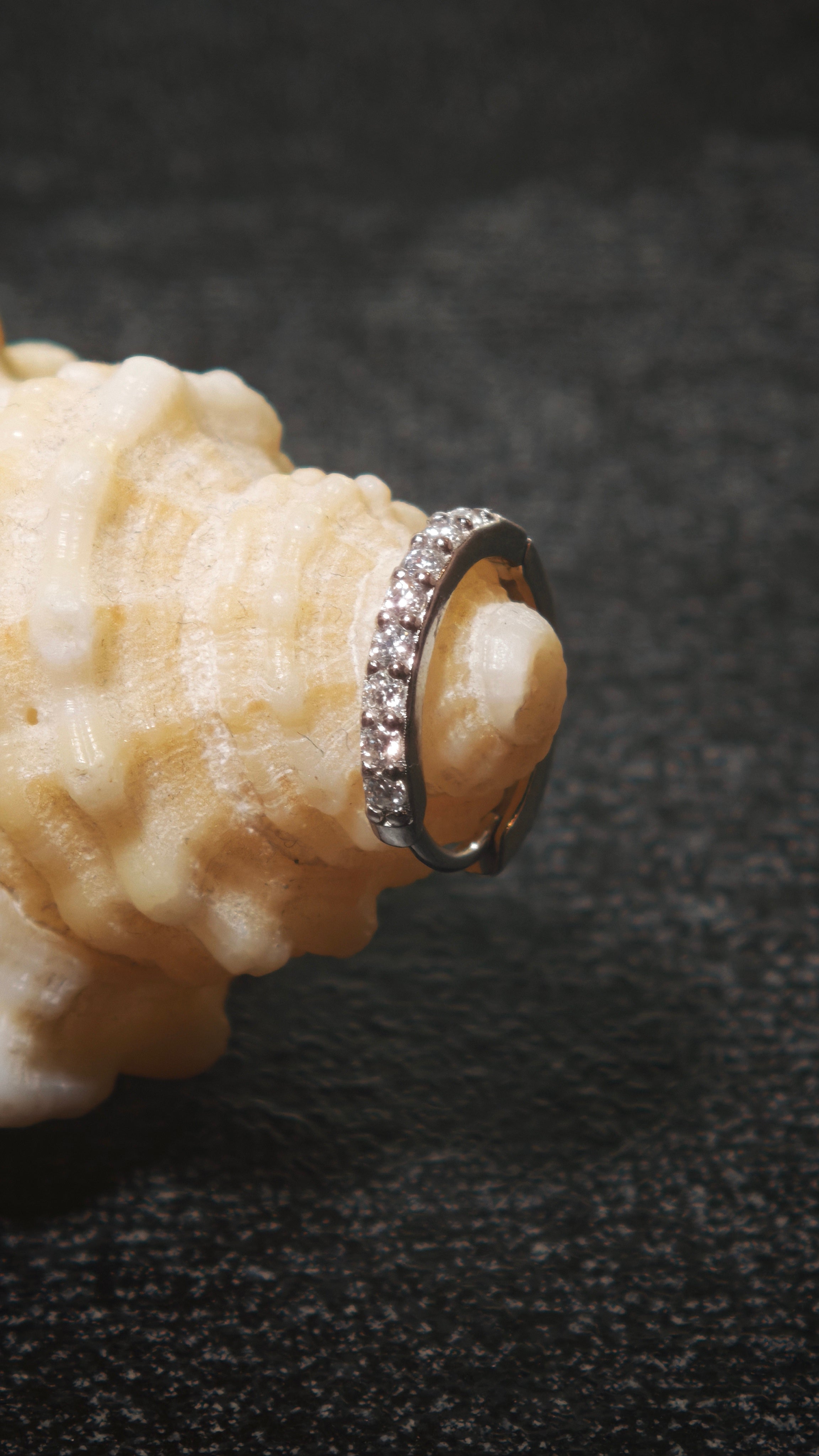 Baikus´ Special Earring